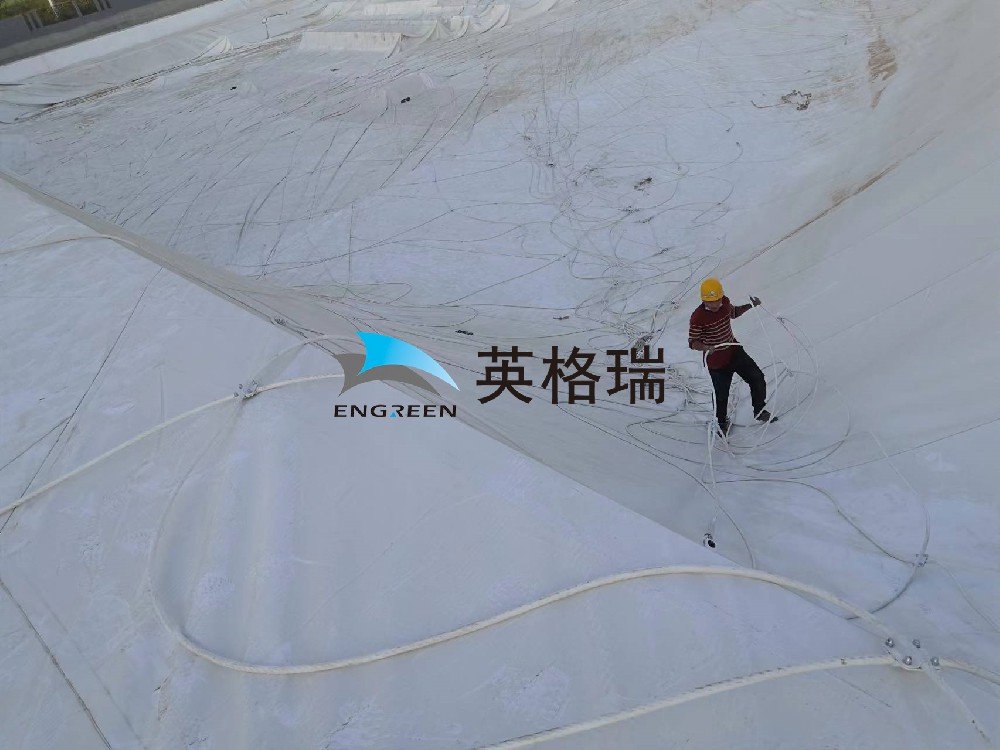 大菠萝视频网址APP垃圾处理厂，环保新潮流