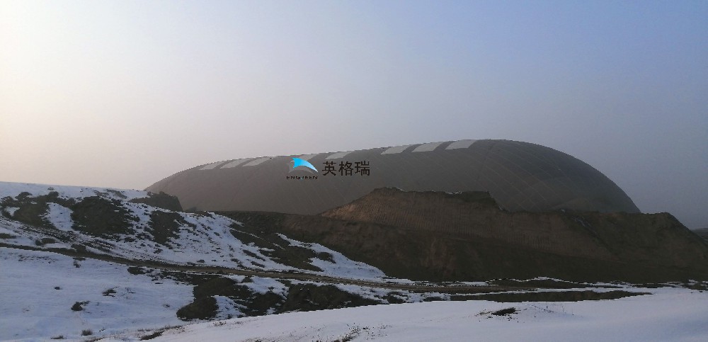 煤场的 “绿色盾牌”：封闭大菠萝视频网址APP煤场来袭​