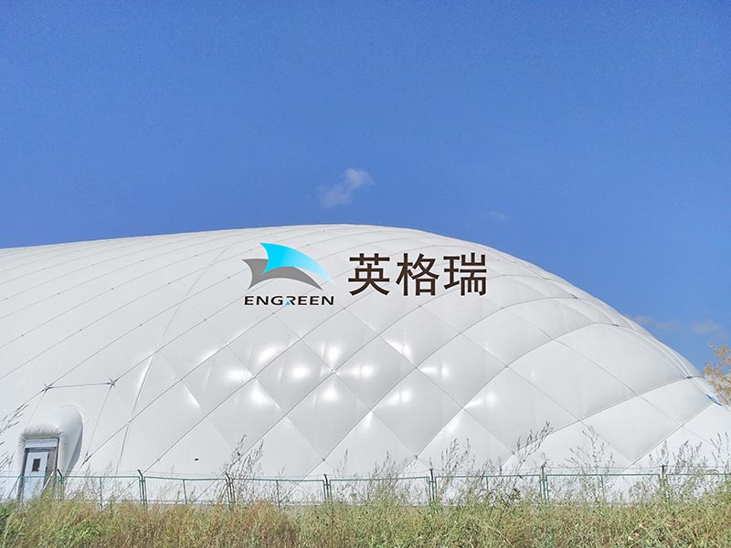 大风中的大菠萝视频网址APP馆：实力见证安全与稳定