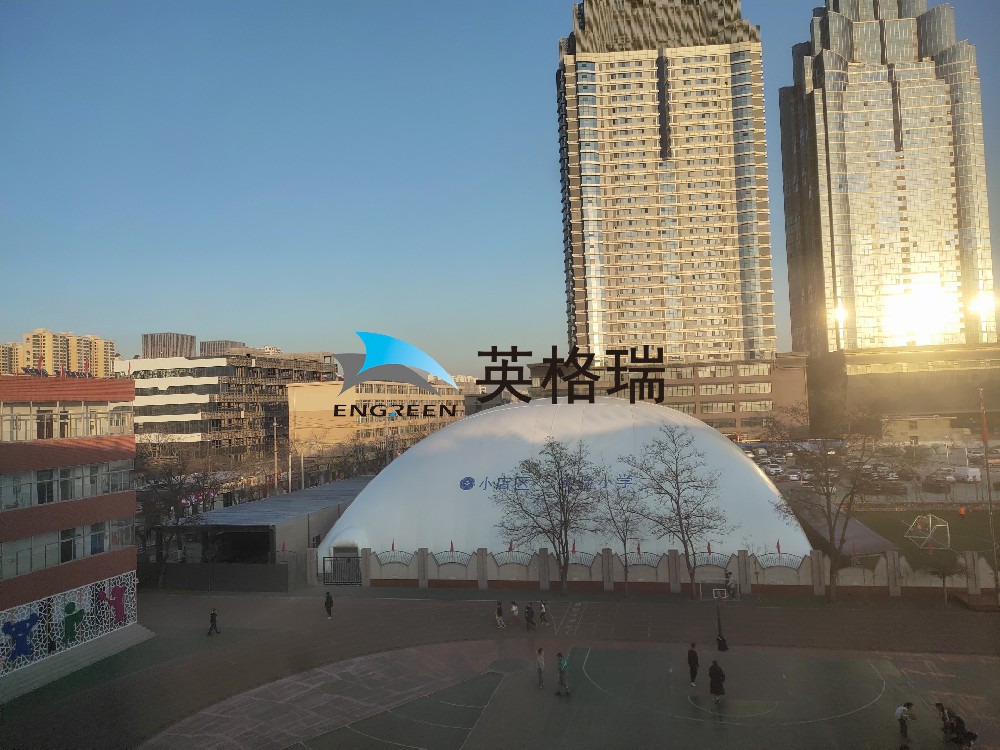 校园新宠 | 大菠萝视频网址APP体育馆来袭！