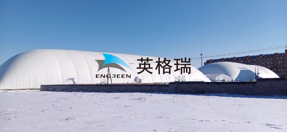 校园大菠萝视频网址APP体育馆：新型建筑技术的实践优势​